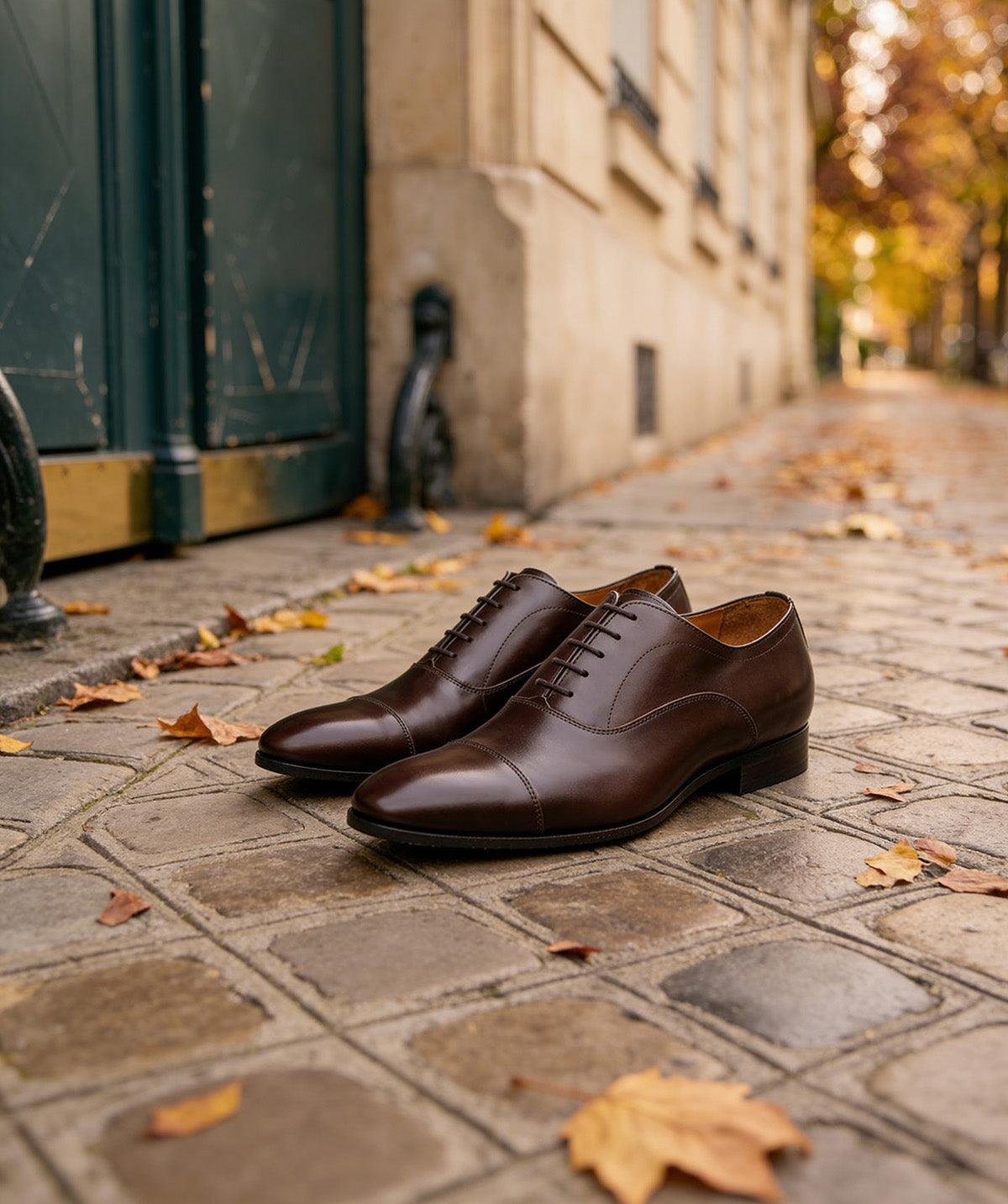 Oxford WHITNEY Dark Brown