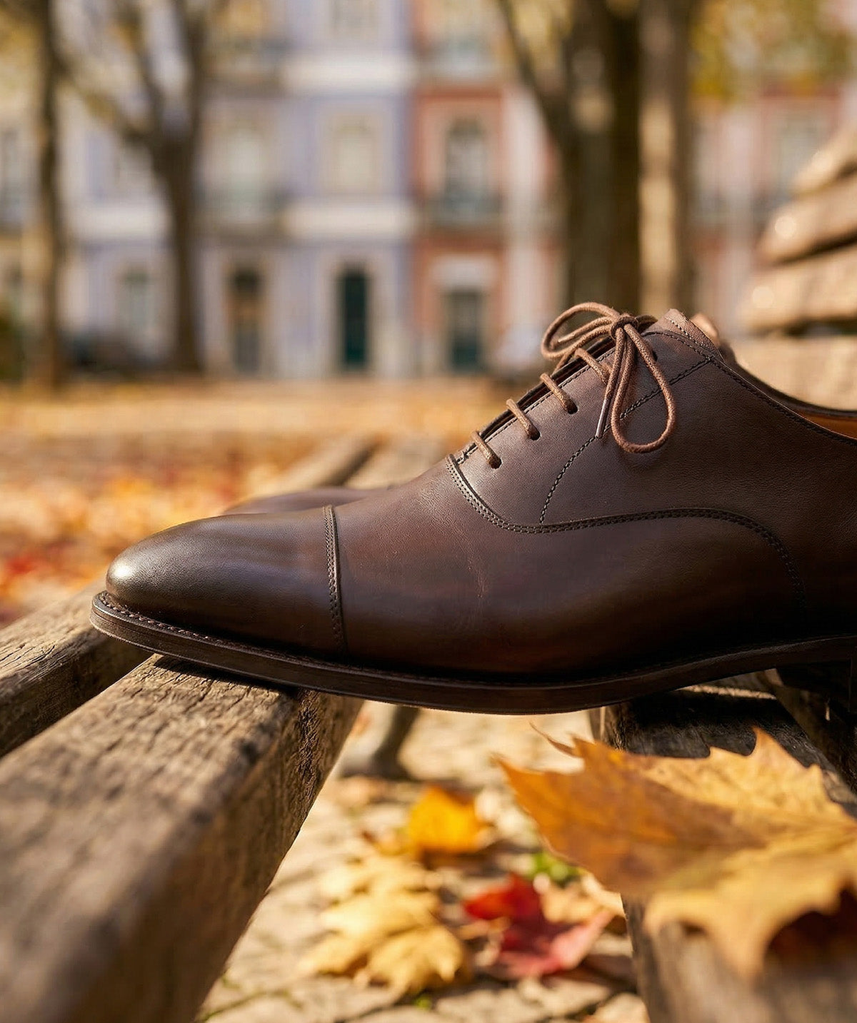 Oxford CONSUL Walnut Patina (new shape)