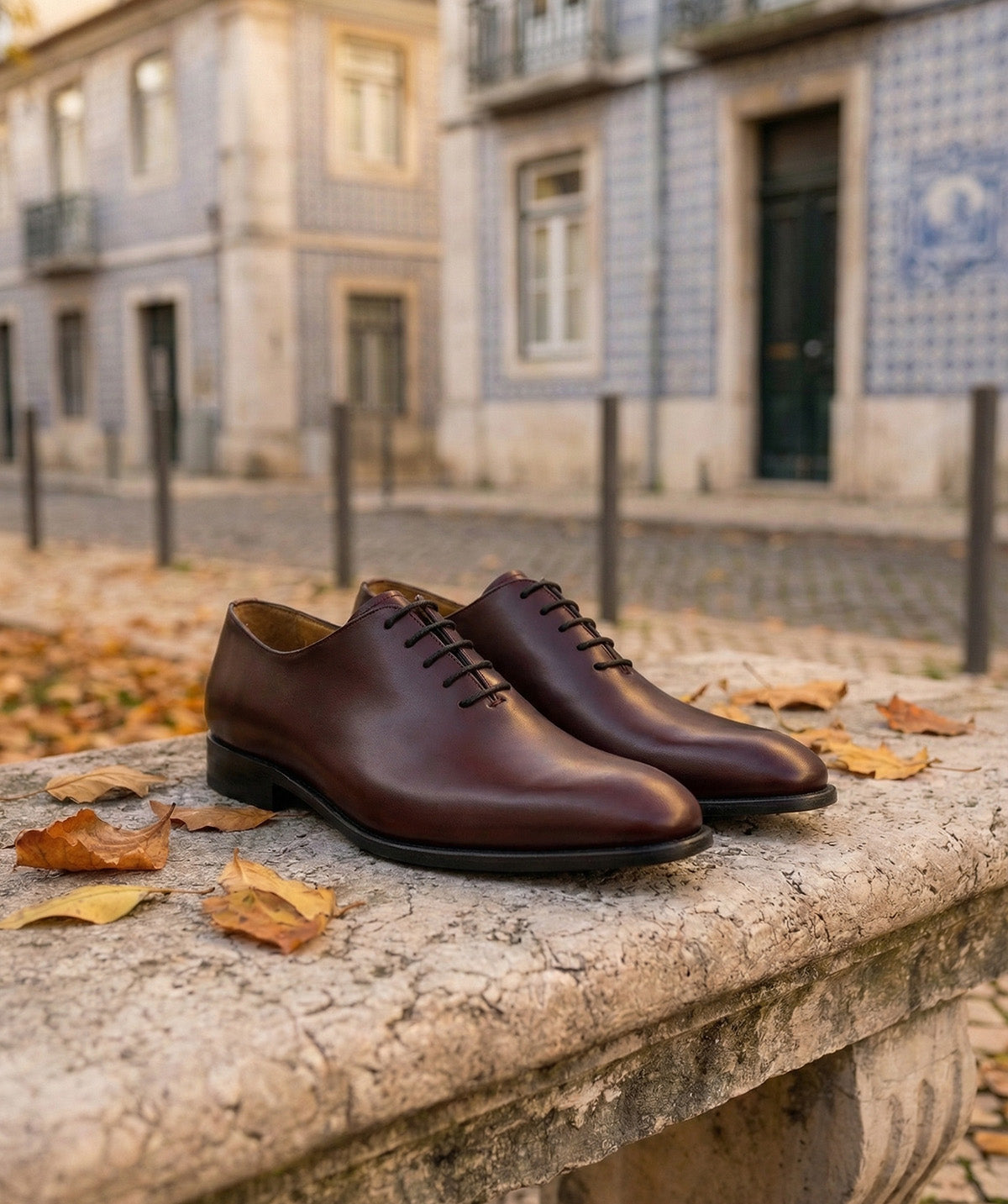 BROADWAY Burgundy Oxford
