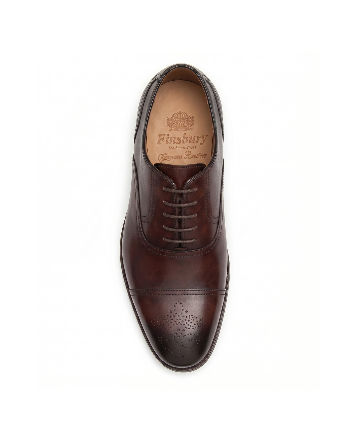 Oxford DAMIANO Brown