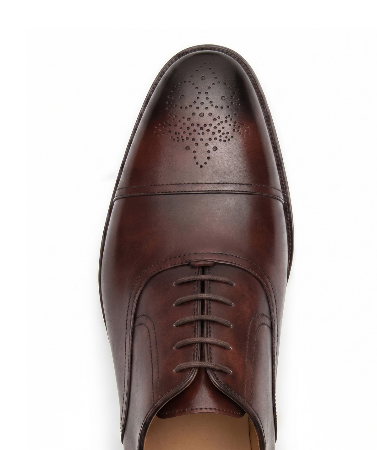 Oxford DAMIANO Brown